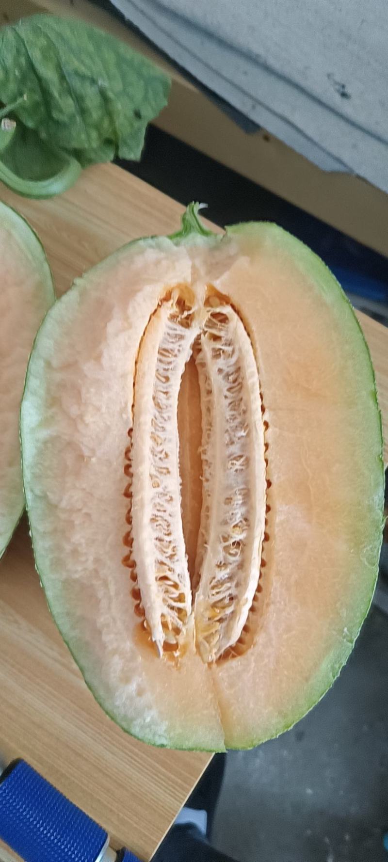 精品小蜜25头茬瓜大量有货，3到7斤，糖度达到16