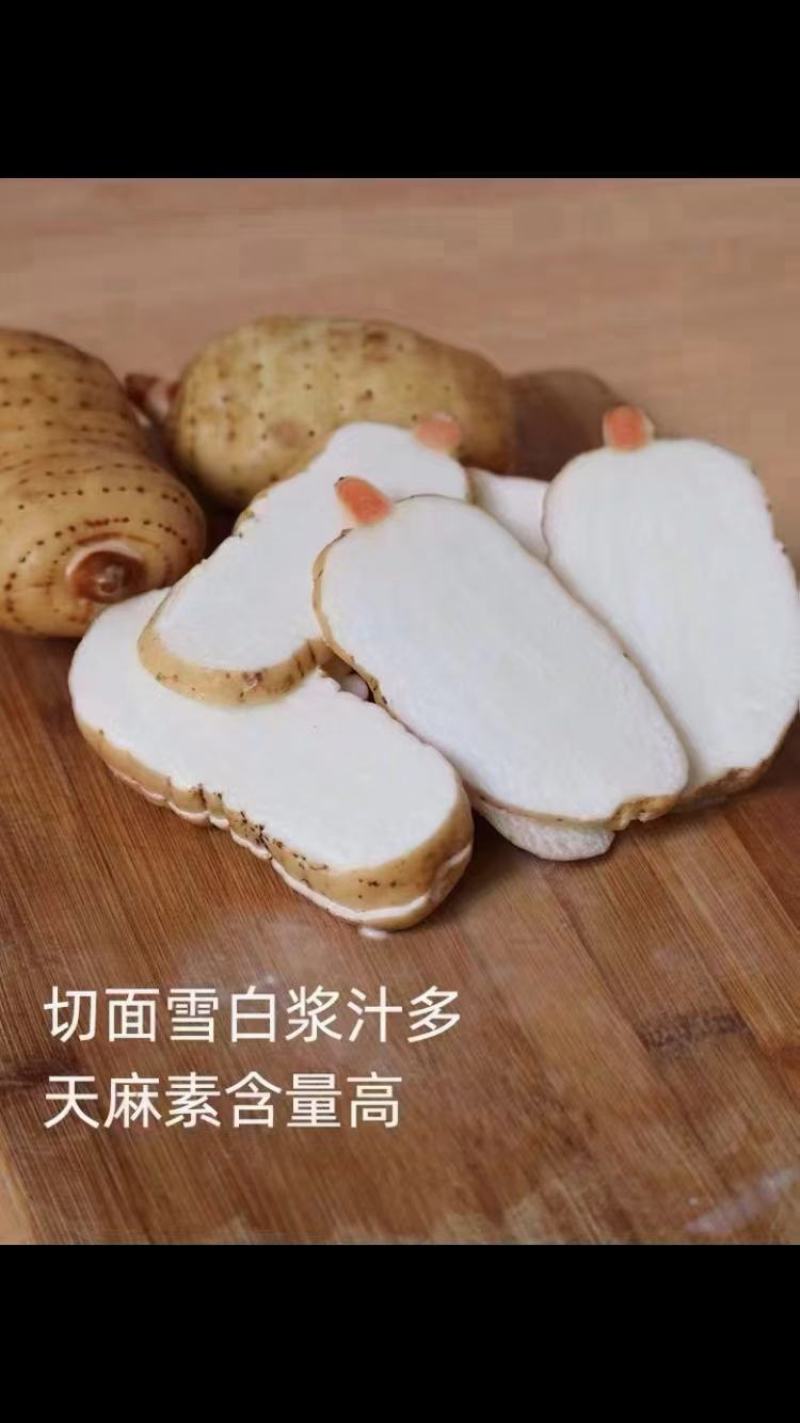 干天麻各种规格都有，需要的老总放心下单。