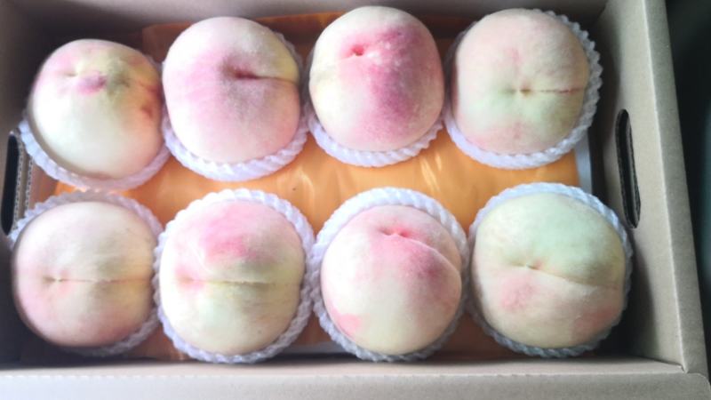 正宗无锡阳山水蜜桃果园直发产地直供6-8月产
