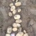 推荐基地便宜土豆河南土豆黄心土豆，荷兰十五，中暑5号。