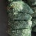 我这里有10000斤紫皮大蒜，有意者联系我。