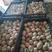 鲜鸭蛋全国发货对接加工厂食品厂电商批发商超养殖场直供