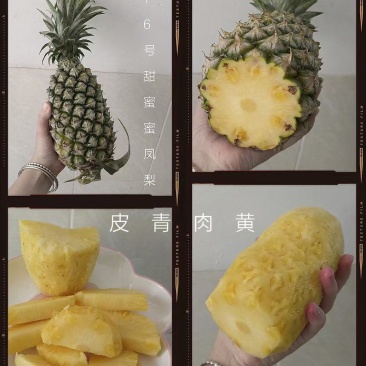 台农16号凤梨甜蜜蜜