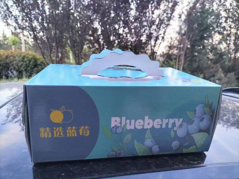 团购款蓝莓串果，每天新鲜采摘，分拣包装，冷库储存确保新鲜