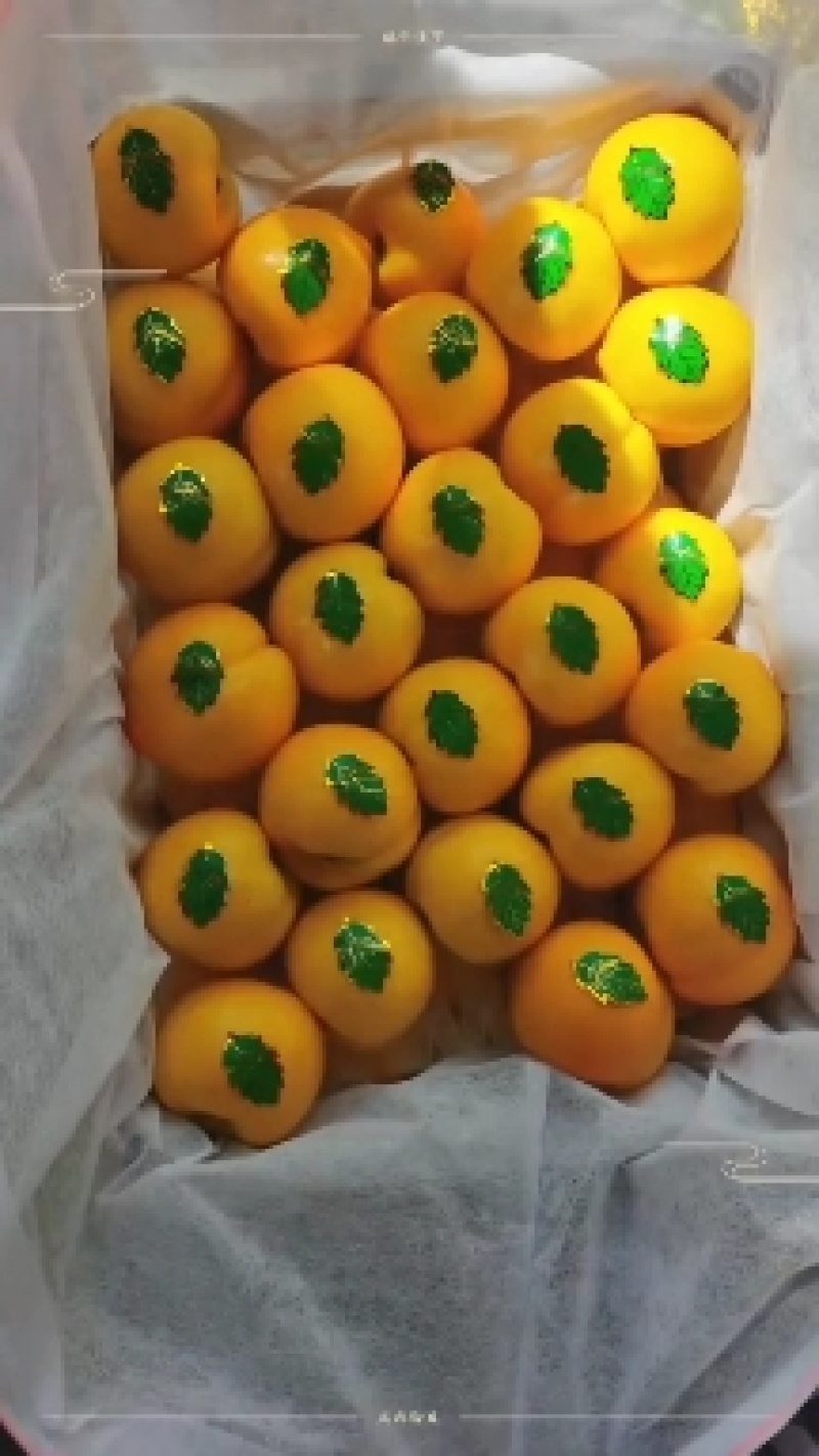 黄金油桃大量上市了，南方的优选品种！。。。