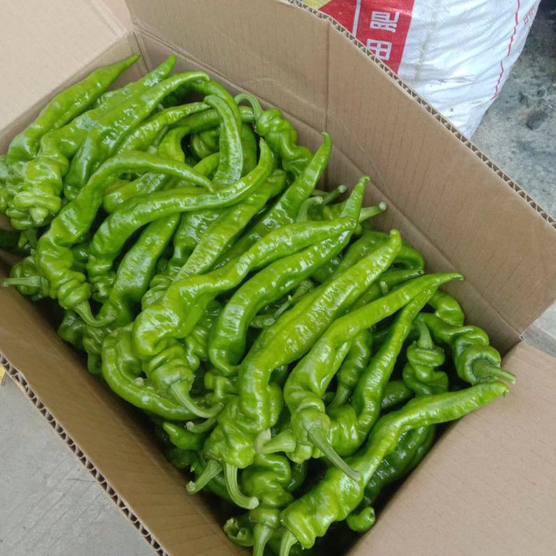 螺丝椒