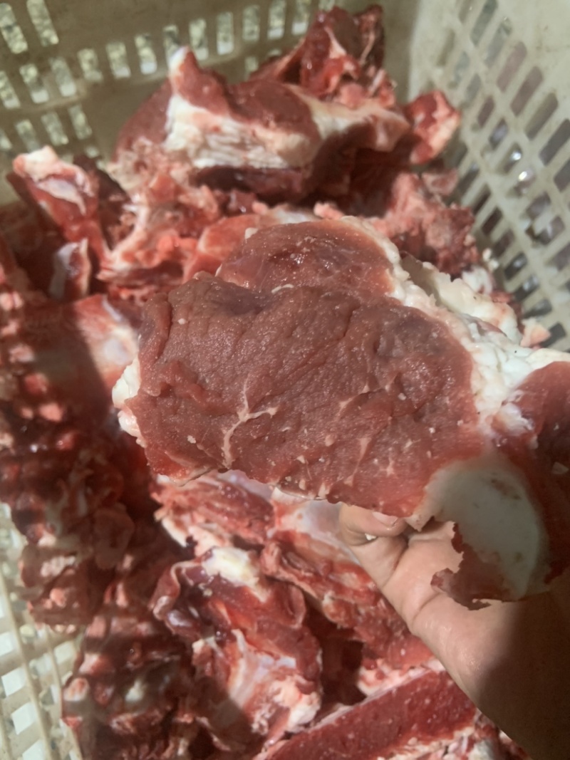 国产清真多肉牛碎骨，用途广泛，价格便宜厂家直供量大从优