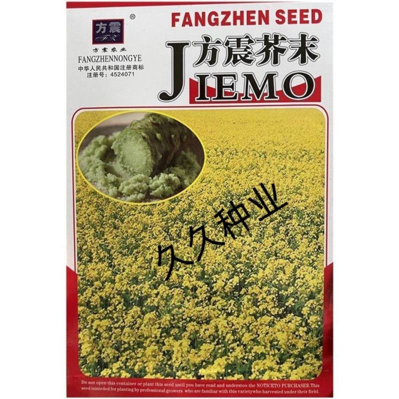 芥末种子调味种籽保健料理高产特色菜四季易种盆栽蔬孑