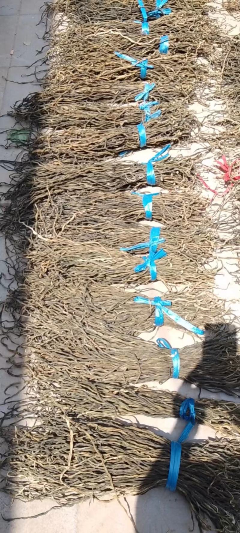 山东莘县干豇豆，干芸豆大量供应中，货源充足，价格适中