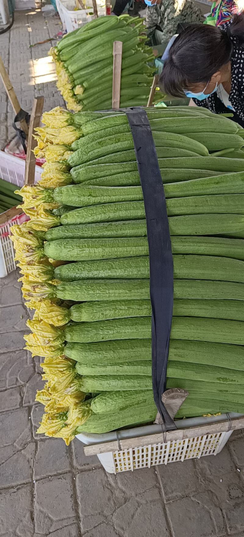 鲜花丝瓜