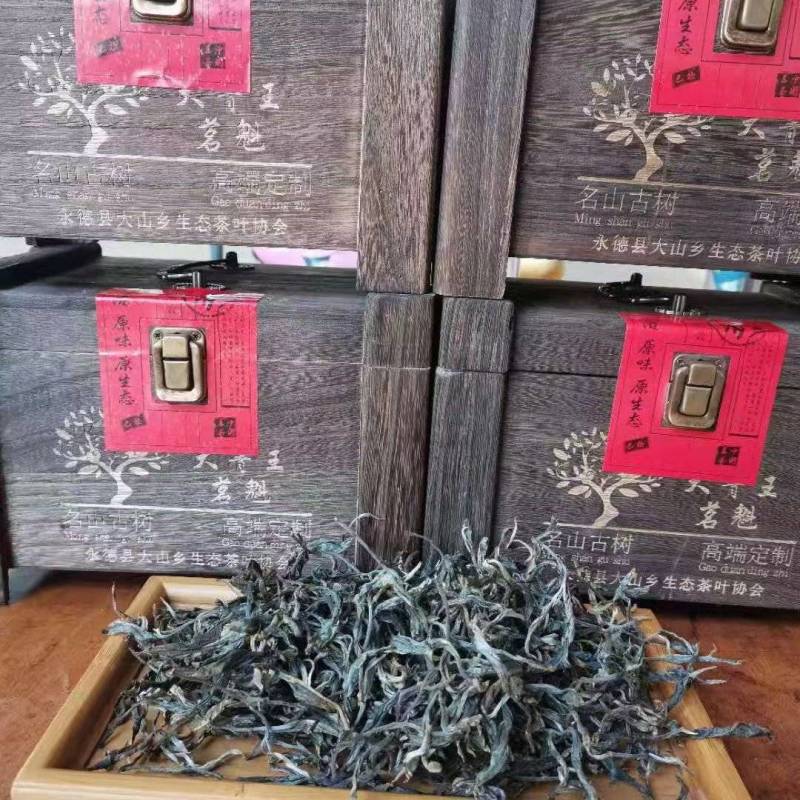 大箐王古树茗魁云南产地直销品质上乘