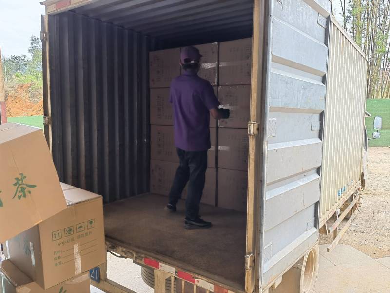 大箐王古树茗魁云南产地直销品质上乘