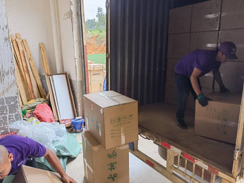 大箐王古树茗魁云南产地直销品质上乘
