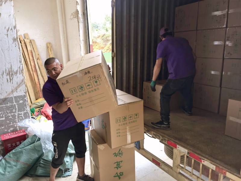 大箐王古树茗魁云南产地直销品质上乘