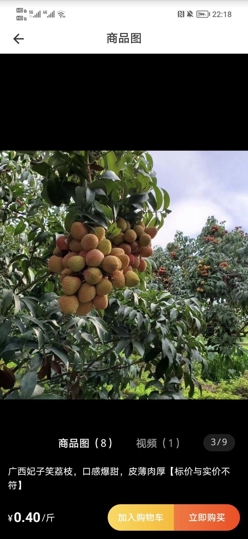 妃子笑荔枝三月红荔枝大量上市了产地直发新鲜现摘