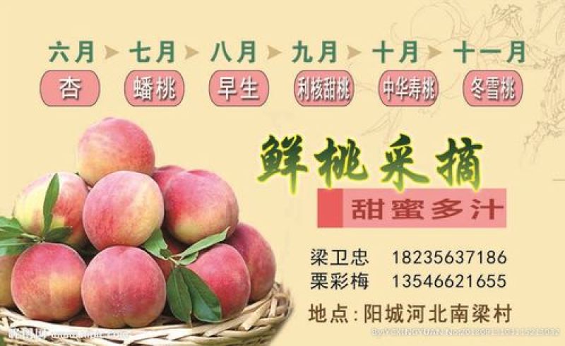 红不软毛桃70MM——80MM10斤装一件代发坏果包赔
