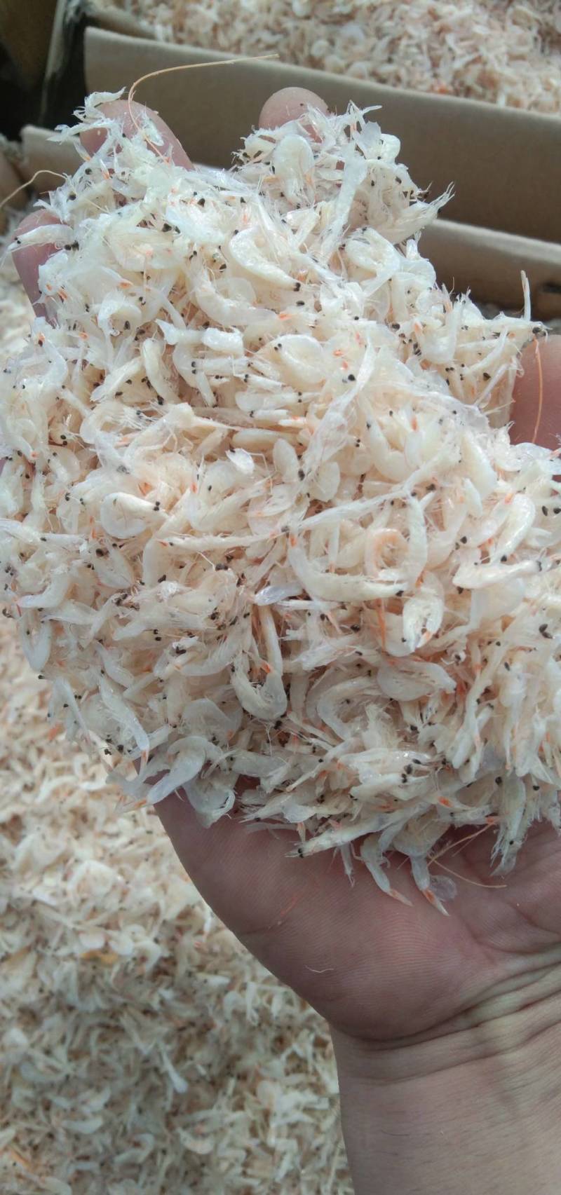 咸虾皮500g社区团购专用虾皮干资质齐全