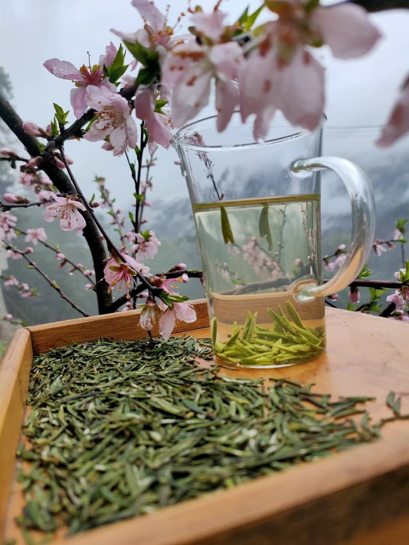恩施绿茶2023年新茶上市富硒贡芽