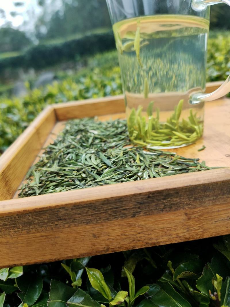 恩施绿茶2023年新茶上市富硒贡芽