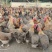 160养清远鸡#土鸡#生态鸡#五谷杂粮鸡#走地鸡#散养鸡