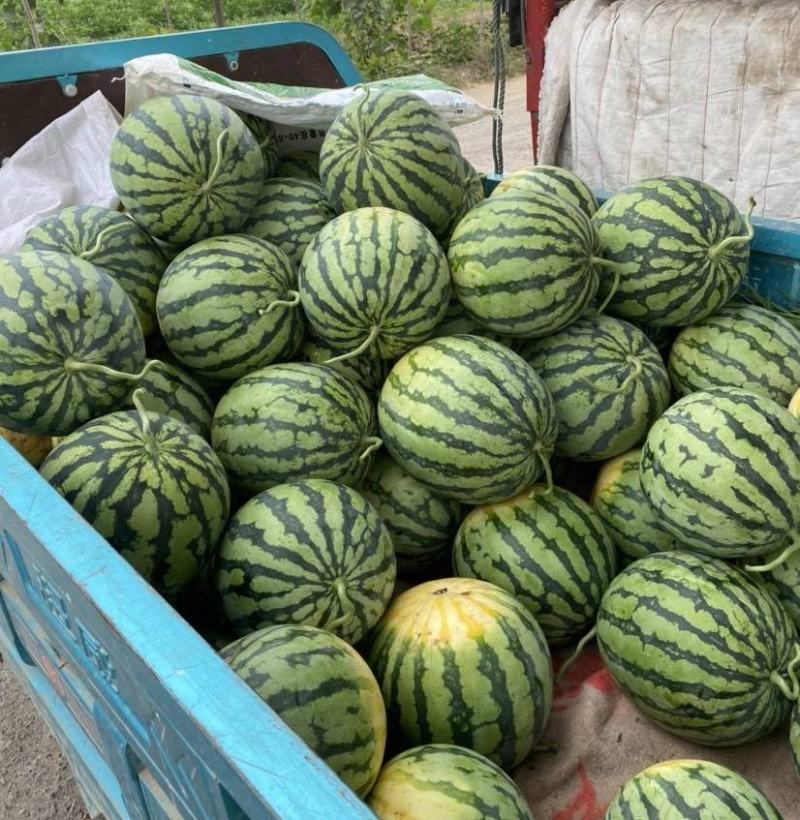 《实力商家》开封甜王西瓜西瓜规格全价格便宜包熟甜