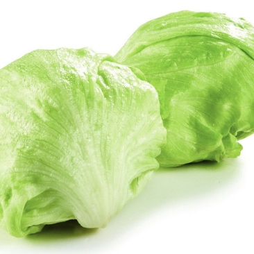 圆生菜