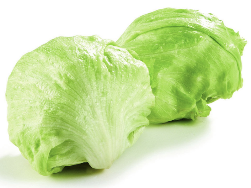 圆生菜