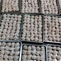 肚包肉大量供应质量有保证厂家直供资质齐全量大从优