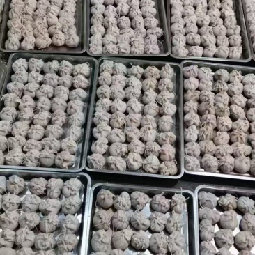 肚包肉大量供应质量有保证厂家直供资质齐全量大从优