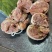 肚包肉大量供应质量有保证厂家直供资质齐全量大从优
