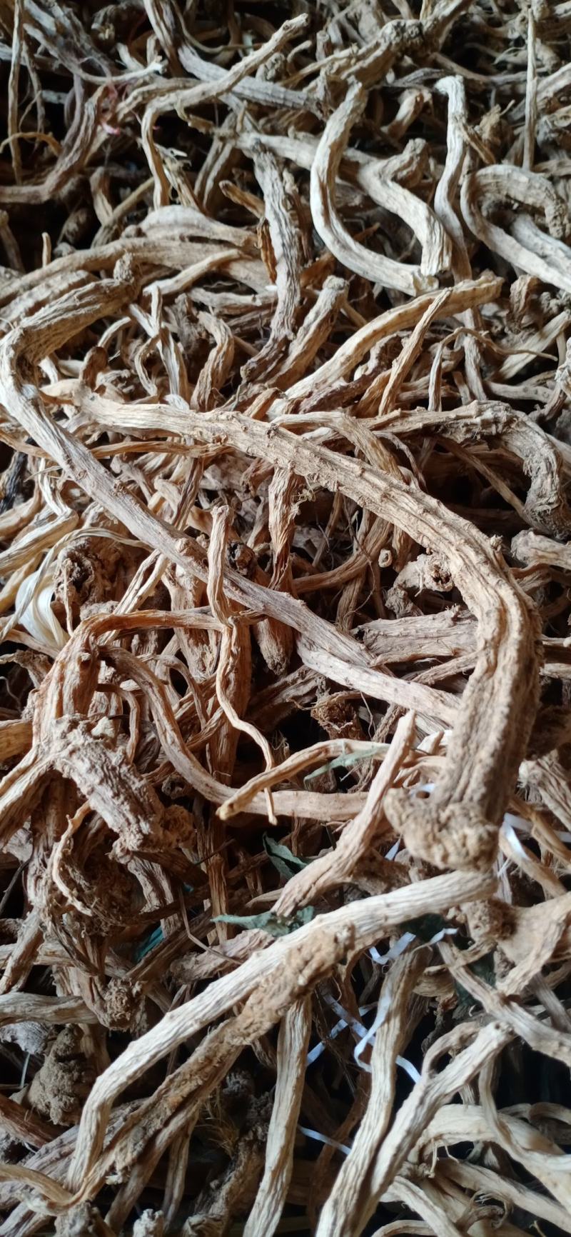 党参，云南文山野生党参，干货自然哄干无流