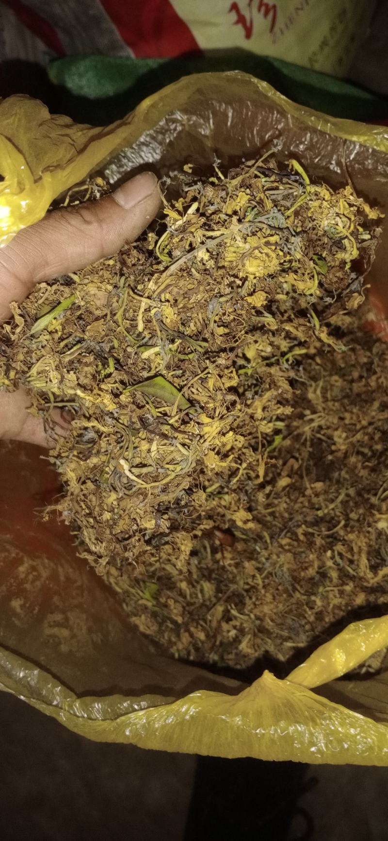 金银花，非人工种植，云南文山发货自然晒干