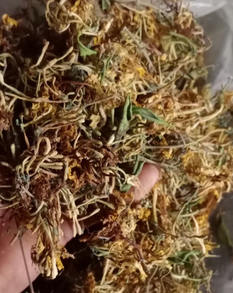 金银花，非人工种植，云南文山发货自然晒干