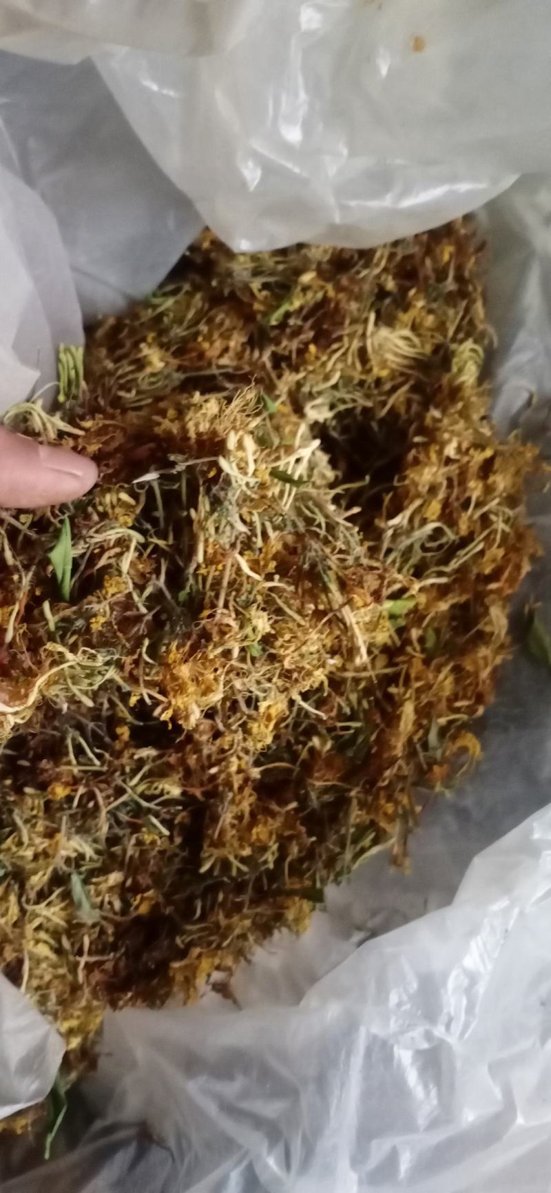 金银花，非人工种植，云南文山发货自然晒干