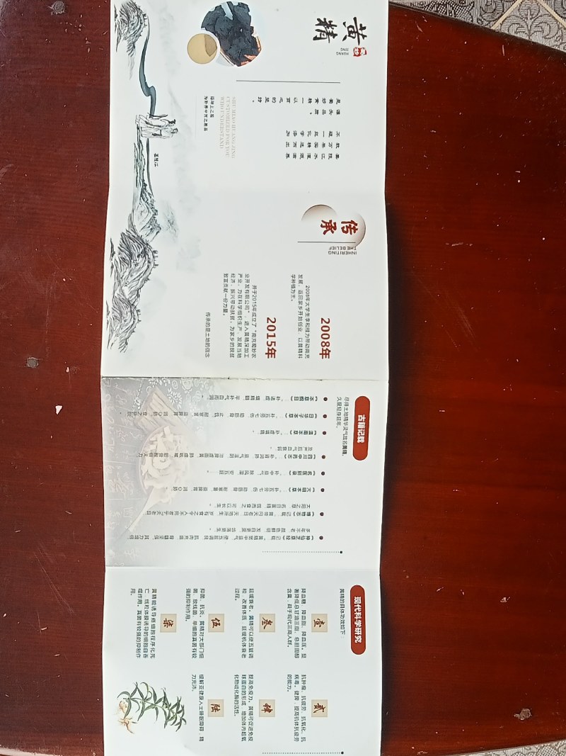 黄精:别墅苑自种