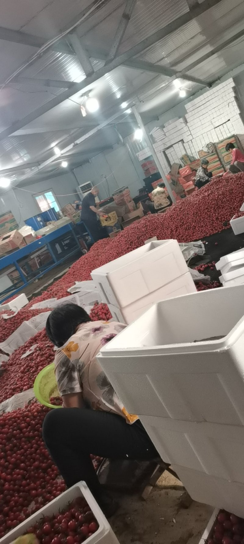 精品贝贝大量上市，产地直销，新鲜水果当季热卖