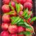 桃子，毛桃，油桃品种齐全，口感脆甜，对接电商市场保质保量