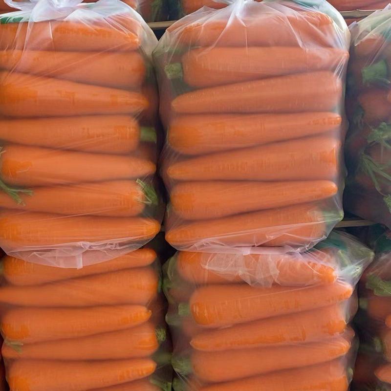 河南胡萝卜，精品精品水洗土货，干袋半苗全苗，电商市场超市