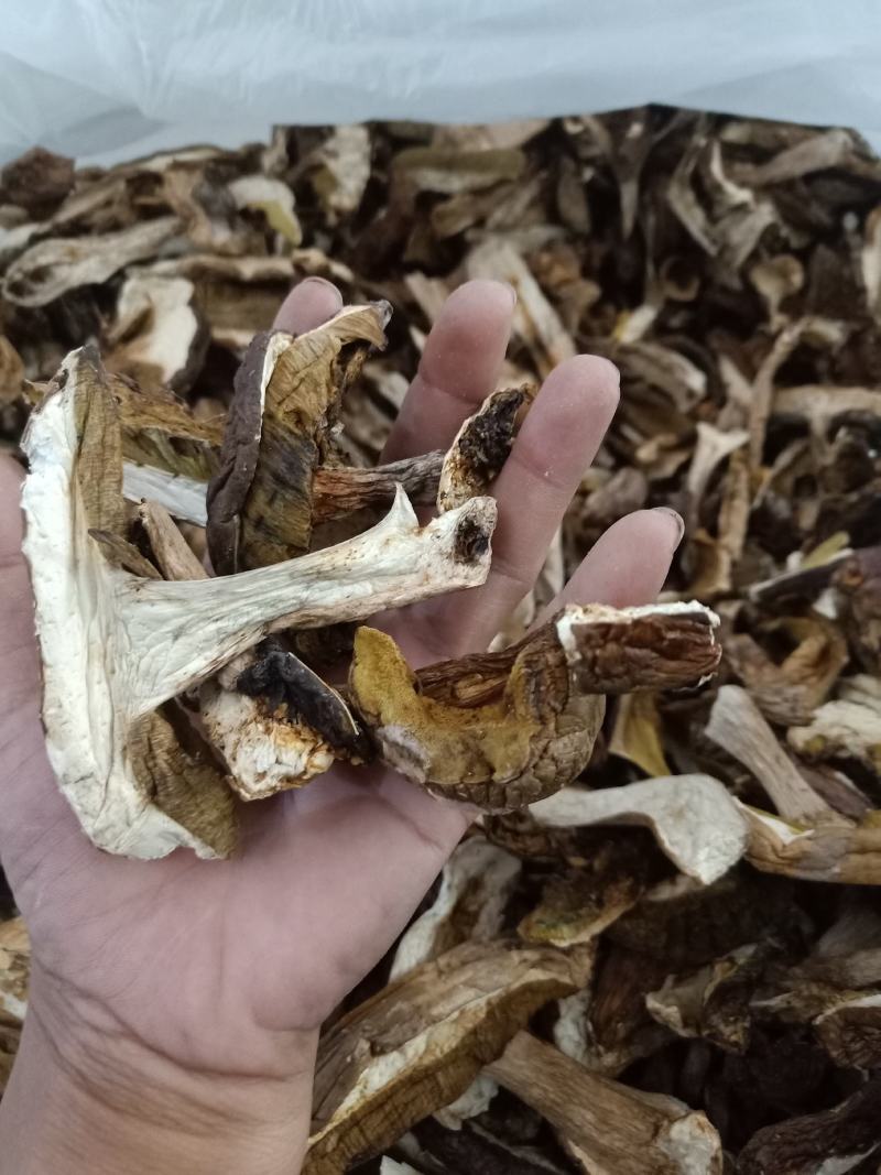 美味牛肝菌_干度好_颜色靓