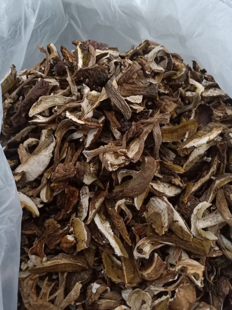美味牛肝菌_干度好_颜色靓