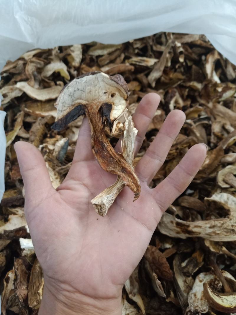 美味牛肝菌_干度好_颜色靓