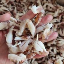 沙蟹脚蟹钳捞汁小海鲜20斤/件支持线上交易