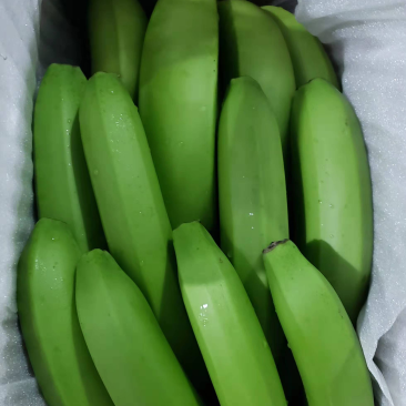 云南好货靓货香蕉一件代发