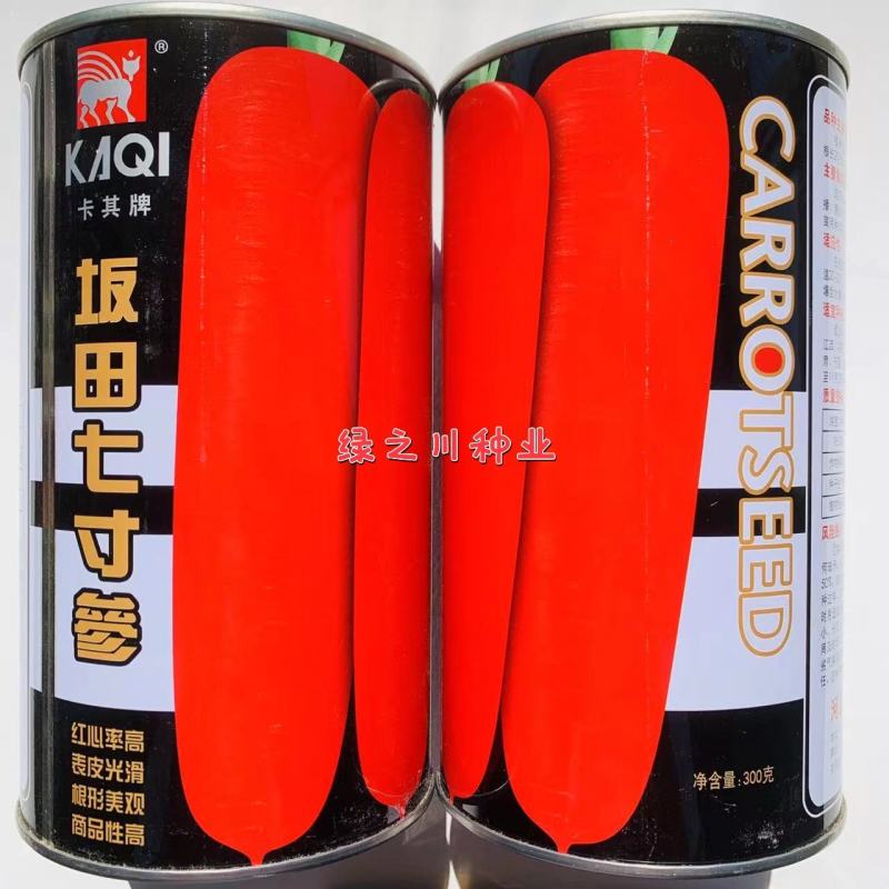 坂田七寸参胡萝卜种子南北方种植高产，着色膨大快三红率高