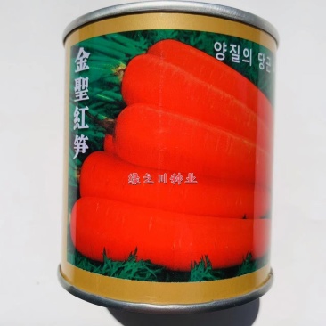 时田天宇金圣红笋胡萝卜种子皮肉芯桔红色胡萝卜种籽耐暑