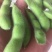 绿宝石毛豆24~30克