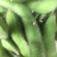 绿宝石毛豆24~30克