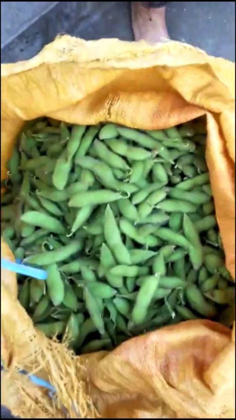 绿宝石毛豆24~30克