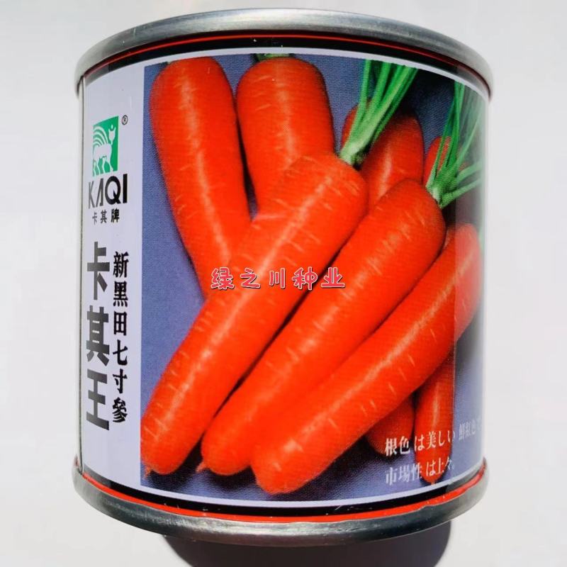 卡其王新黑田七寸参胡萝卜种子皮肉芯桔红色胡萝卜种籽耐热