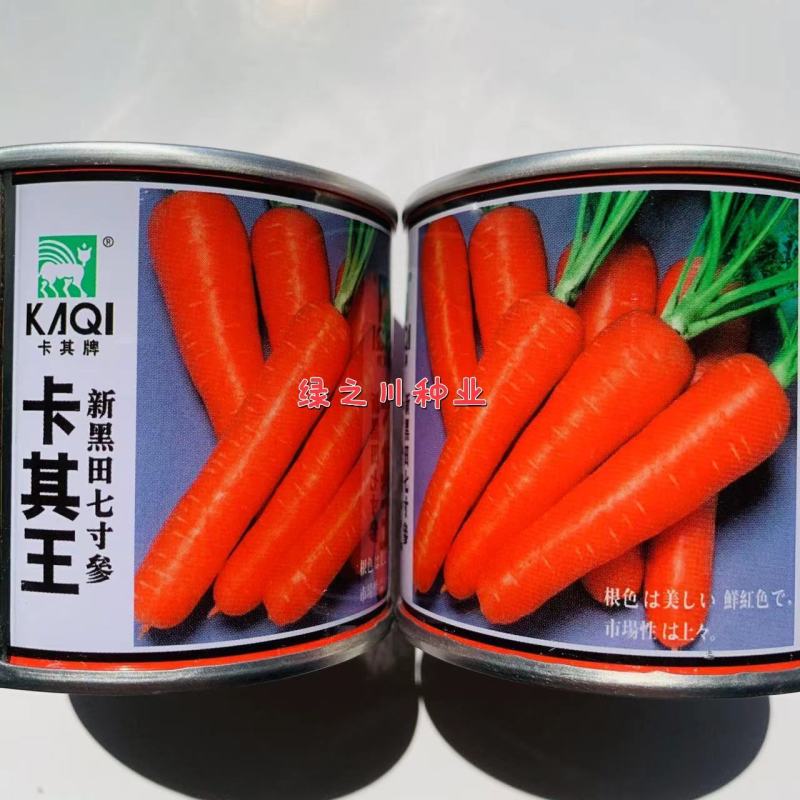 卡其王新黑田七寸参胡萝卜种子皮肉芯桔红色胡萝卜种籽耐热